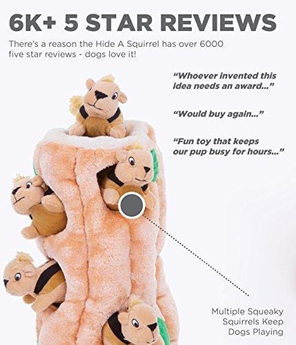 Hide a Squirrel Fun Hide and Seek Interactive Puzzle Plush Dog Toy by Outward Hound, 4 Piece, Junior