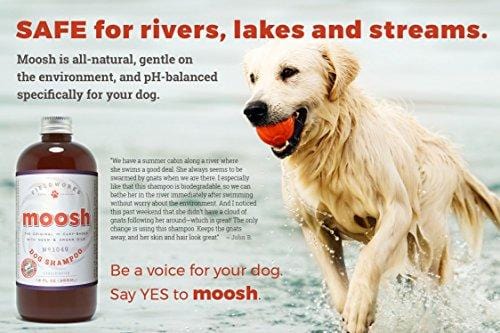 Natural Dog Shampoo. Anti-Bacterial-Anti-Fungal- Anti-Itch , Promotes Healthy Hair and Skin, Helps Hot Spots. Shea Butter, Neem and Argan Oil, Aloe Vera and Bentonite. Concentrated-Organic by Moosh ...