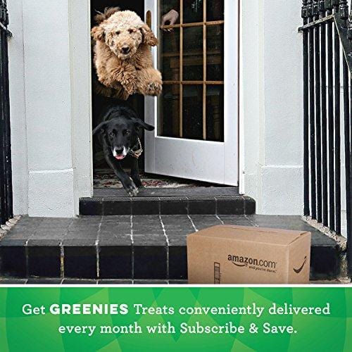GREENIES Original Regular Size Natural Dental Dog Treats, 36 oz. Pack (36 Treats)
