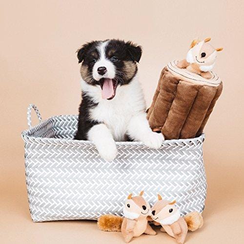 ZippyPaws - Woodland Friends Burrow, Interactive Squeaky Hide and Seek Plush Dog Toy - Chipmunks 'n Log