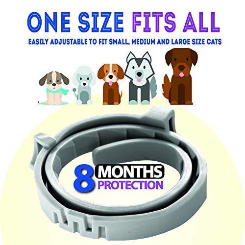 KEXMY Flea and Tick Collar for Dogs-Flea and Tick Prevention for Small, Medium or Large Dog - Waterproof Collar Flea Tick 2019