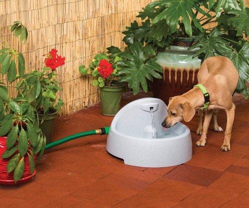 PetSafe Drinkwell Everflow Indoor/Outdoor Dog and Cat Water Fountain, Pet Drinking Fountain, 192 oz. Water Capacity
