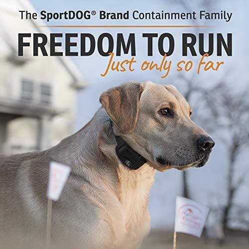 SportDOG Brand In-Ground Fence Systems - Waterproof Collar with Tone, Vibration, and Shock - Expandable to Contain Unlimited Dogs in up to 100 Acres - Remote Trainer Option