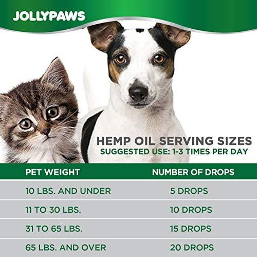Jollypaws Hemp Oil for Cats - (500 MG) - All Natural Pain Relief, Stress & Anxiety Support, Hemp Oil - Salmon Flavor - Made in USA