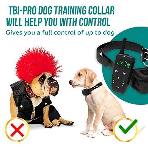 All-New 2019 Dog Training Collar with Remote | Long Range 1600', Shock, Vibration Control, Rechargeable & Ipx7 Waterproof | E-Collar Shock Collar for Dogs Small, Medium, Large Size, All Breeds