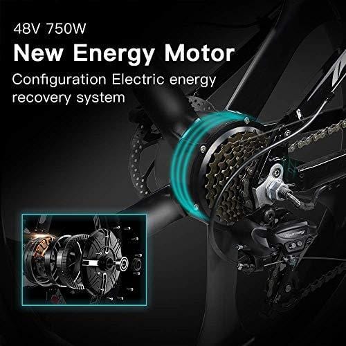 W Wallke Folding Aluminum Electric Bike 48V 10.4ah Removable Battery Fat Tire Snow Mountain Bike 750W Beach Cruiser Adult Assisted E-Bike Double Disc Hydraulic Brake（26 inch）