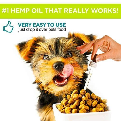 Hemp Oil for Dogs & Cats - 2000mg -100% A Organic Pet Hemp Oil - Anxiety Relief for Dogs & Cats - Supports Hip & Joint Health - Grown & Made in USA - Natural Relief for Pain - Omega 3, 6 & 9