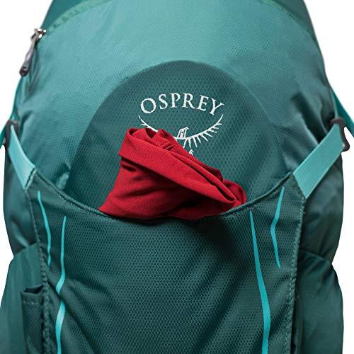 Osprey Packs Hikelite 26 Backpack, Aloe Green, One Size