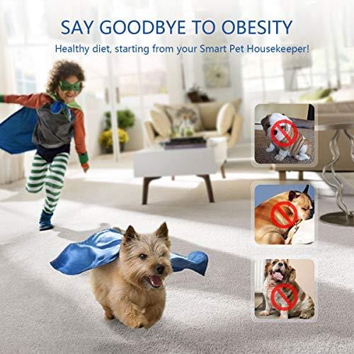 WOpet Automatic Pet Feeder Stainless Steel Bowl with Portion Control,Dog and Cat Feeder with Voice Recorder & Speaker-Timer Programmer up to 4 Meals a Day (Blue)