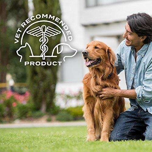 Advecta II Flea Treatment - Flea and Lice Prevention for Dogs, 4 Month Supply