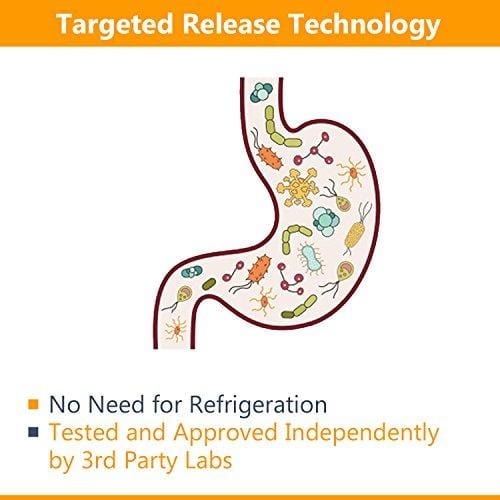 NewRhythm Probiotics 50 Billion CFU 20 Strains, 60 Veggie Capsules, Targeted Release Technology, Stomach Acid Resistant, No Need for Refrigeration, Non-GMO, Gluten Free