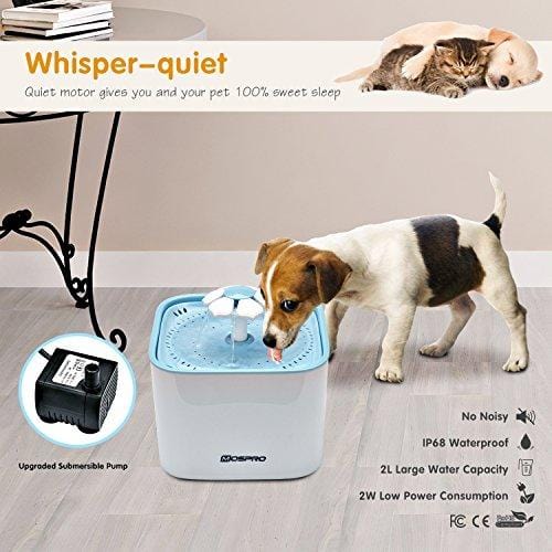 Pet Fountain Cat Water Dispenser - Healthy and Hygienic Drinking Fountain Super Quiet Flower Automatic Electric Water Bowl with 2 Replacement Filters for Dogs, Cats, Birds and Small Animals Blue