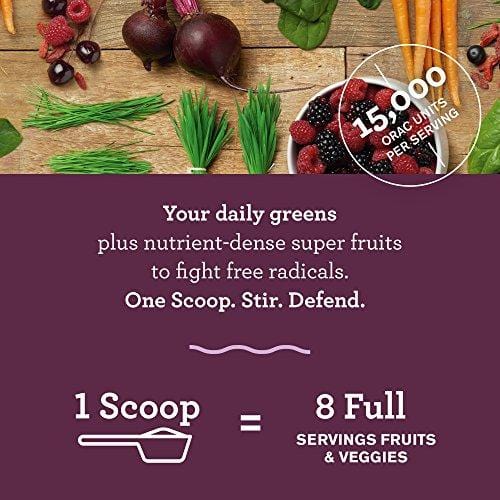 Amazing Grass Green Superfood Antioxidant Organic Powder with Elderberry, Wheatgrass, and 7 Super Greens, Flavor: Sweet Berry,  100 Servings