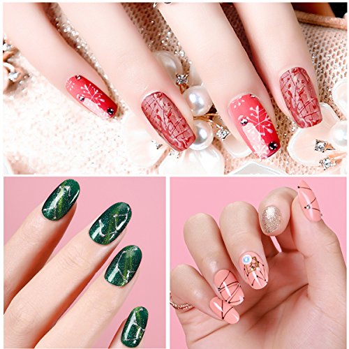6 Colors Spider Gel, Saviland matrix Gel with Gel Paint Design Nail Art Wire Drawing Gel for Line (White black red blue yellow silver)