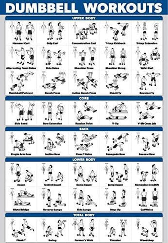 Palace Learning Dumbbell Workout Exercise Poster - Free Weight Body Building Guide | Home Gym Chart | Laminated, 18" x 27"