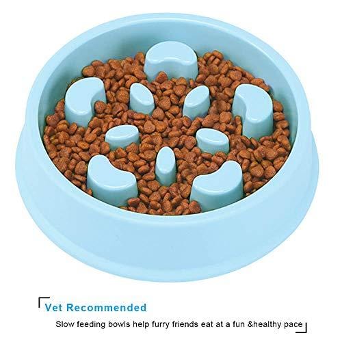 UPSKY Slow Feeder Dog Bowl Fun Feeder No Chocking Slow Feeder Bloat Stop Dog Cat Food Water Bowl with Funny Pattern, Blue