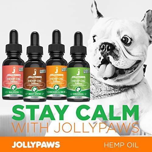 Jollypaws Hemp Oil for Cats - (500 MG) - All Natural Pain Relief, Stress & Anxiety Support, Hemp Oil - Salmon Flavor - Made in USA