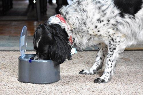 Our Pets Smart Link Intelligent Pet Care Selective Feeder Automatic Pet Bowl