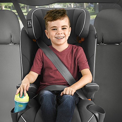 Chicco MyFit Harness + Booster Car Seat, Canyon