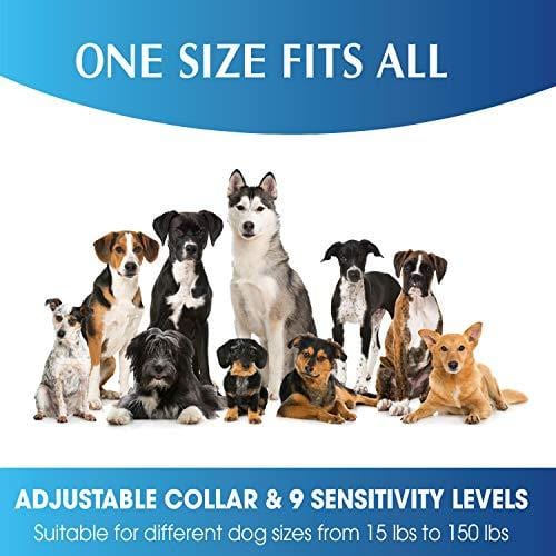 MONTAUR 2019 Automatic Bark Collar - Upgraded Rechargeable Barking Collar for Dogs - Newest Version Waterproof Bark Control Collar - Humane and Safe Dog Bark Collar for Dogs