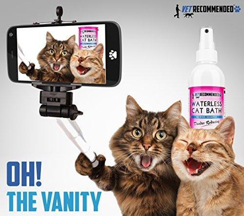 Vet Recommended NEW Waterless Cat Shampoo - Detergent and Alcohol Free - Apple Extract Dry Cat Shampoo Spray to Clean, Moisturize & Help Cat Dander - Use Without Using Water. USA Made (8oz/240ml)