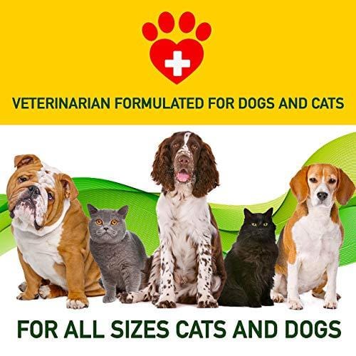 Hemp Oil for Dogs & Cats - 1000 mg - Anxiety Relief for Dogs & Cats - 100% Organic Pet Hemp Oil - Supports Hip & Joint Health - Grown & Made in USA - Natural Relief for Pain