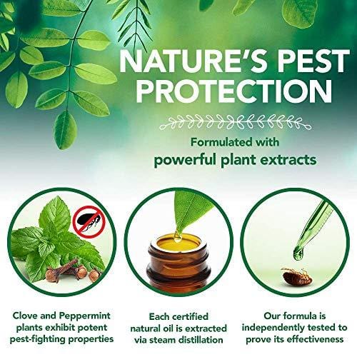 Vet's Best Flea and Tick Home Spray | Flea Treatment for Dogs and Home | Flea Killer with Certified Natural Oils | 32 Ounces