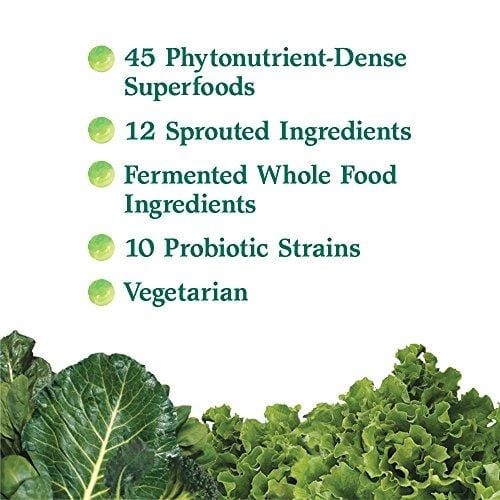 Garden of Life Whole Food Vegetable Supplement - Perfect Food Green Superfood Dietary Powder, 140g