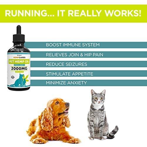 Hemp Oil for Dogs & Cats - 2000mg -100% A Organic Pet Hemp Oil - Anxiety Relief for Dogs & Cats - Supports Hip & Joint Health - Grown & Made in USA - Natural Relief for Pain - Omega 3, 6 & 9