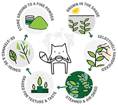 KENKO - Premium Matcha Green Tea Powder - 1st Harvest - Special Drinking Blend for Top Flavor - Best Tasting Ceremonial Grade Matcha Tea Powder - Japanese -30g [1oz]