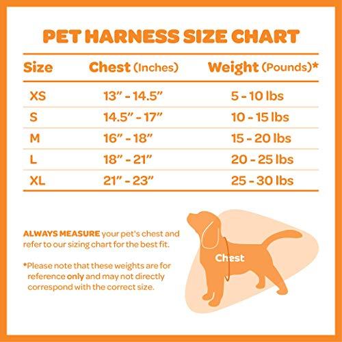 Voyager Step-In Air Dog Harness - All Weather Mesh, Step In Vest Harness for Small and Medium Dogs by Best Pet Supplies - Pink Base, Small (Chest: 14.5" - 17")