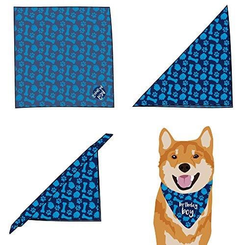 hecho Dog Birthday Bandana - Boy