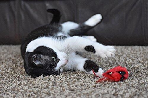 OurPets Play-N-Squeak Real Birds Fly Over Interactive Cat Toy