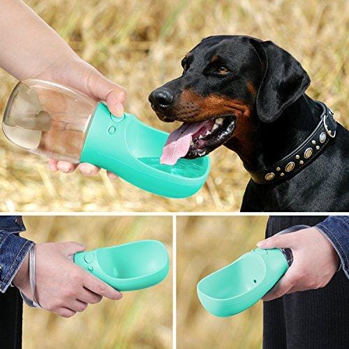 Pedy Dog Water Bottle for Walking or Outdoor Travel with Bowl Dispenser, Antibacterial Portable Leak Proof Pet Travel Water Drink Cup, Water Drinking Bottle 12 OZ