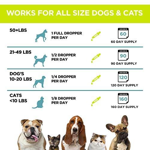 Hemp Oil for Dogs & Cats - 2000mg -100% A Organic Pet Hemp Oil - Anxiety Relief for Dogs & Cats - Supports Hip & Joint Health - Grown & Made in USA - Natural Relief for Pain - Omega 3, 6 & 9