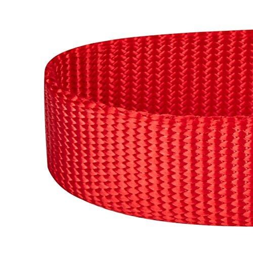 Blueberry Pet 32 Colors Classic Dog Collar, Rouge Red, Large, Neck 18"-26", Nylon Collars for Dogs