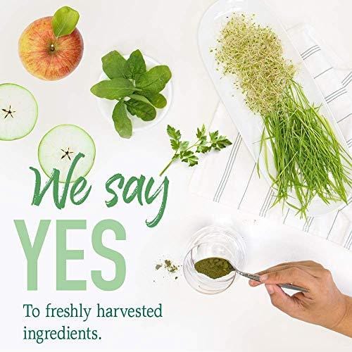 Garden of Life Raw Organic Perfect Food Energizer Juiced Green Superfood Greens Powder - Yerba Mate, Pomegranate, 30 Servings (Packaging May Vary) - Vegan Gluten Free Whole Food Dietary Supplement