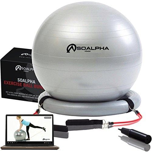 SoAlpha Premium Exercise Ball with 15LB Resistance Bands, Stability Base, Pump, 65 cm Fitness Ball, Supports up to 600LBS, Stability Ball with Gym Quality Resistance Bands, Complete Home Gym Bundle