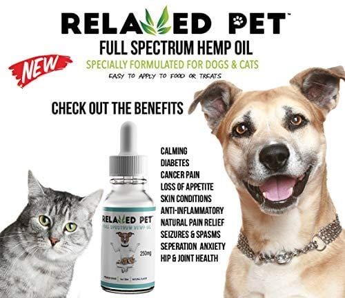 Relaxed Pet Full Spectrum Hemp Oil 250mg for Dog & Cat Calming - HempWorks for Joint Pain Relief, Stress and Seperation Anxiety for Dogs + Omega 3 & 6 for Skin & Fur. The Safest mg. for Pets