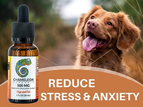 Hemp Extract Oil for Dog and Cats - 500mg - For Separation Anxiety | Pain Relief | Calming | Joint Support | Organic | Non-GMO | Made in the USA - 30mL