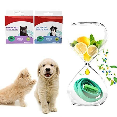 V2AMZ - Pet Natural Essential Oils Flea Tick Prevention Collar for Dogs Convenient to Use
