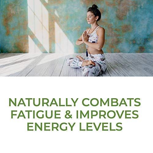 MegaFood, Blood Builder, Daily Iron Supplement and Multivitamin, Supports Energy and Red Blood Cell Production Without Nausea or Constipation, Gluten-Free, Vegan, 90 tablets (90 servings) (FFP)