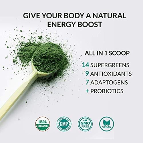Alaya Organic Greens Powder - Superfood Powder with Adaptogens, Antioxidants & Probiotics - Certified Organic Non-GMO Super Greens Supplement Powder - 30 Servings - Berry Flavor Green Powder