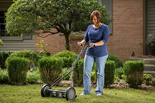American Lawn Mower Company 1415-16 16-Inch 5-Blade Push Reel Lawn Mower, Grey