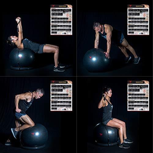 ThinkFit Anti Burst Yoga Exercise Ball 65cm & Resistance Exercise Bands Set with Handles & Stability Ring - Total Home Gym Equipment Bundle: Workout Posters, Ball Pump & Core Sliders for Fitness