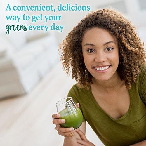 Garden of Life Whole Food Vegetable Supplement - Perfect Food Green Superfood Dietary Powder, 140g
