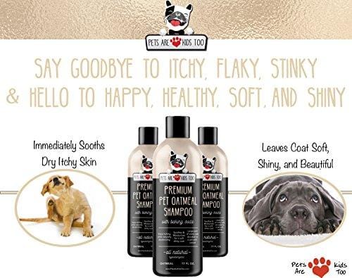 Pet Oatmeal Anti-Itch Shampoo & Conditioner In One! Smelly Puppy Dog & Cat Wash, ALL NATURAL & Hypoallergenic! Provides Relief For Allergies, Itchy, Dry, Irritated Skin!! Smells Amazing! (1 btl)