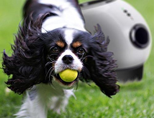 Paws & Pals Automatic Dog Ball Launcher Toy – Interactive Throw and Fetch Mini Tennis Balls Machine with Treat Dispenser – Launches up to 30 feet