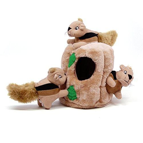 Hide a Squirrel Fun Hide and Seek Interactive Puzzle Plush Dog Toy by Outward Hound, 4 Piece, Junior