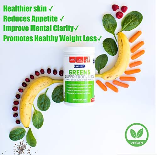 Greens Superfood Juice - Organic Green Veggie Powder - 20+ Fruits & Vegetables - Promotes Gut Health - Antioxidant, Digestive Enzyme & Probiotic Blends - Gluten Free Non-GMO Vegan - Apple Banana 450g